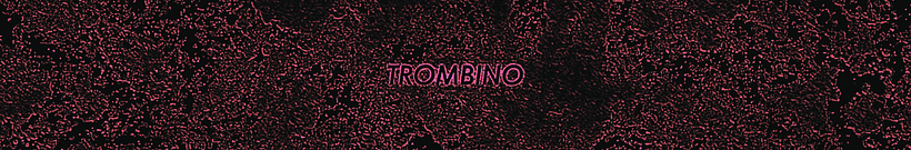 Headers Youtube/Twitter 2013/2015 14