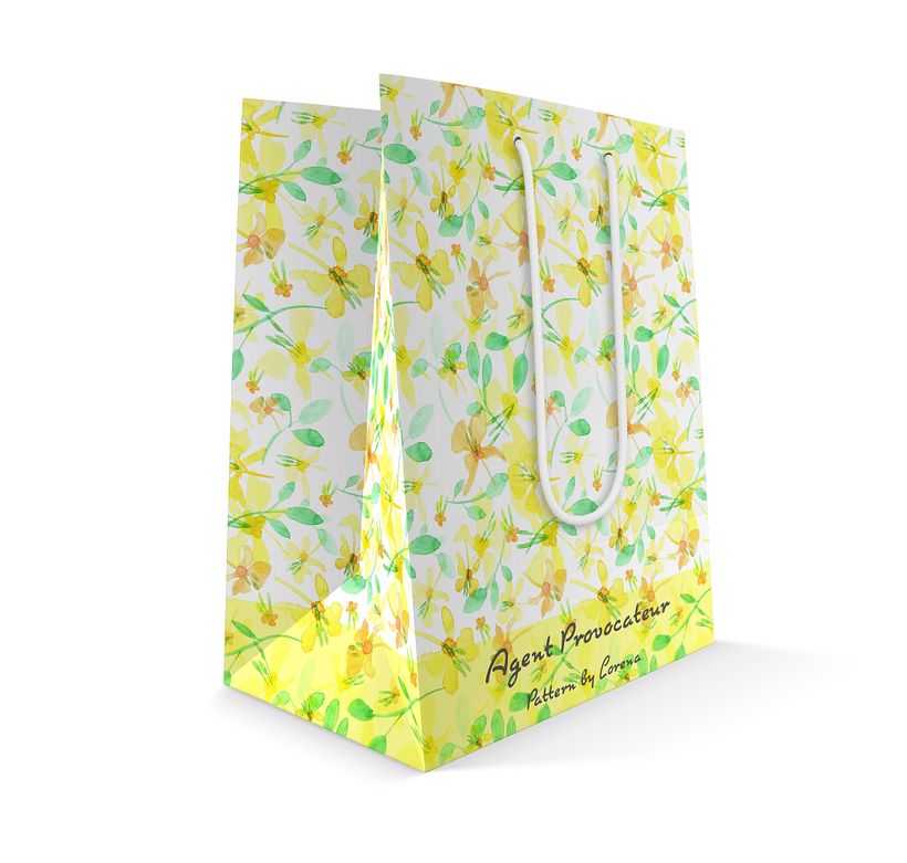 packaging delicado 0