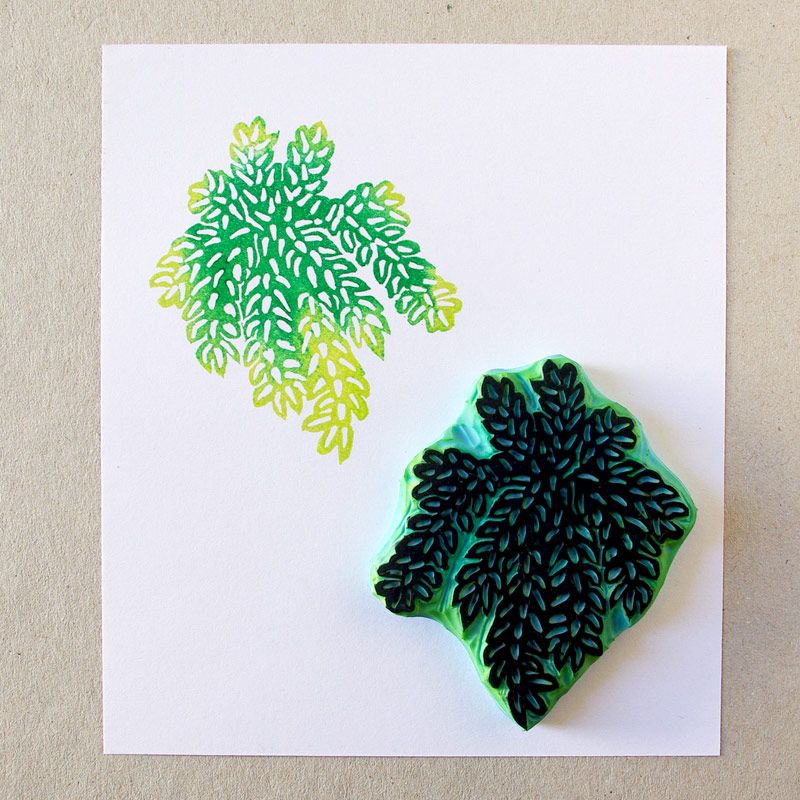 Sellos tallados a mano de plantas suculentas -1