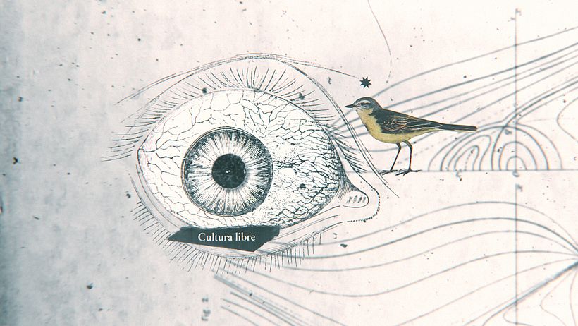 Festival Audiovisual CC Cali 2015 2