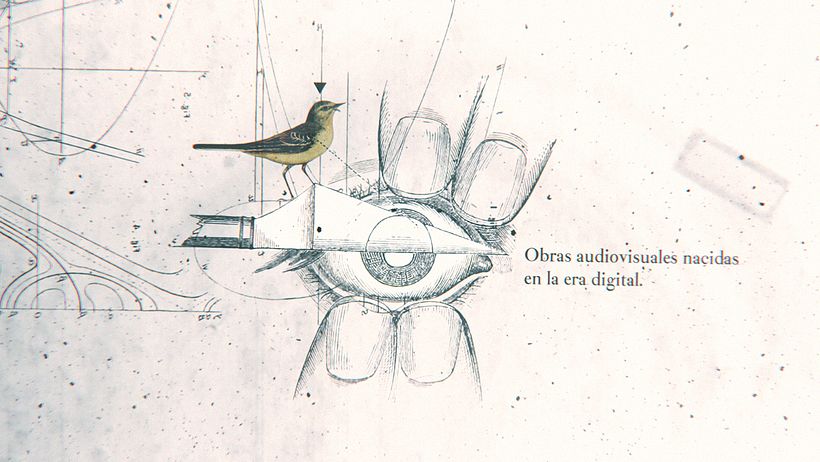 Festival Audiovisual CC Cali 2015 3