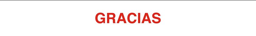 Birlik. CCOO'nun gazetesi. 17