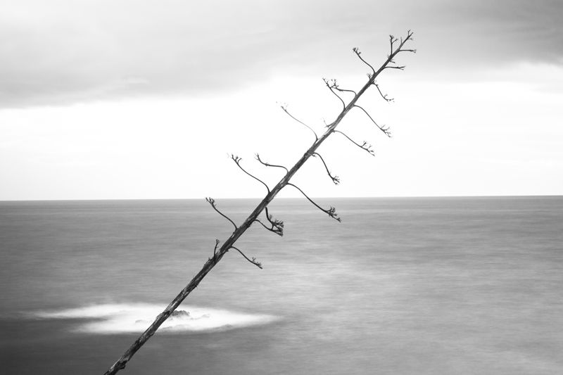 Simplicity Contrasted. Proyecto fotográfico 10