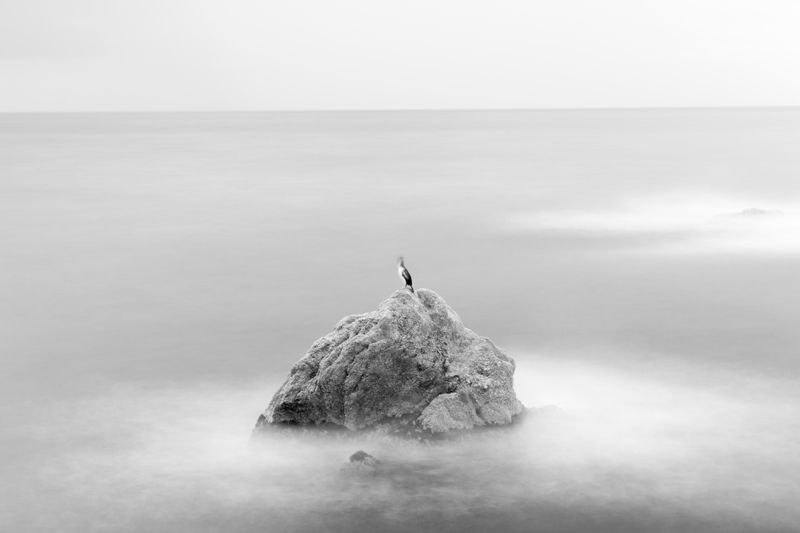 Simplicity Contrasted. Proyecto fotográfico 11