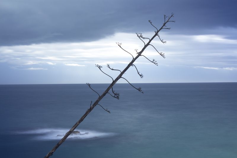 Simplicity Contrasted en color 7