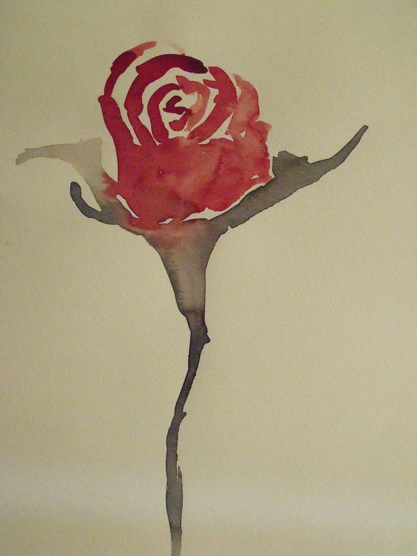 Ilustraciones 6