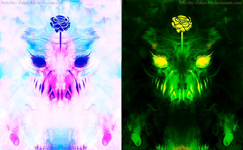 Rosa 0