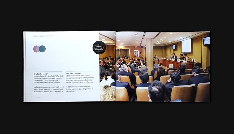 Annual report 2012 - AEADE - Design graphique