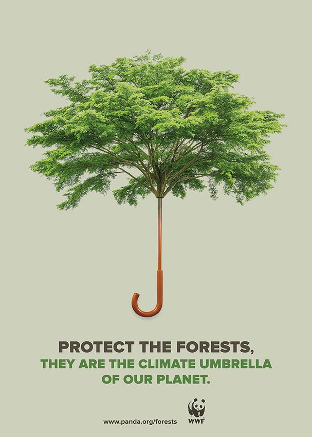 WWF International -1