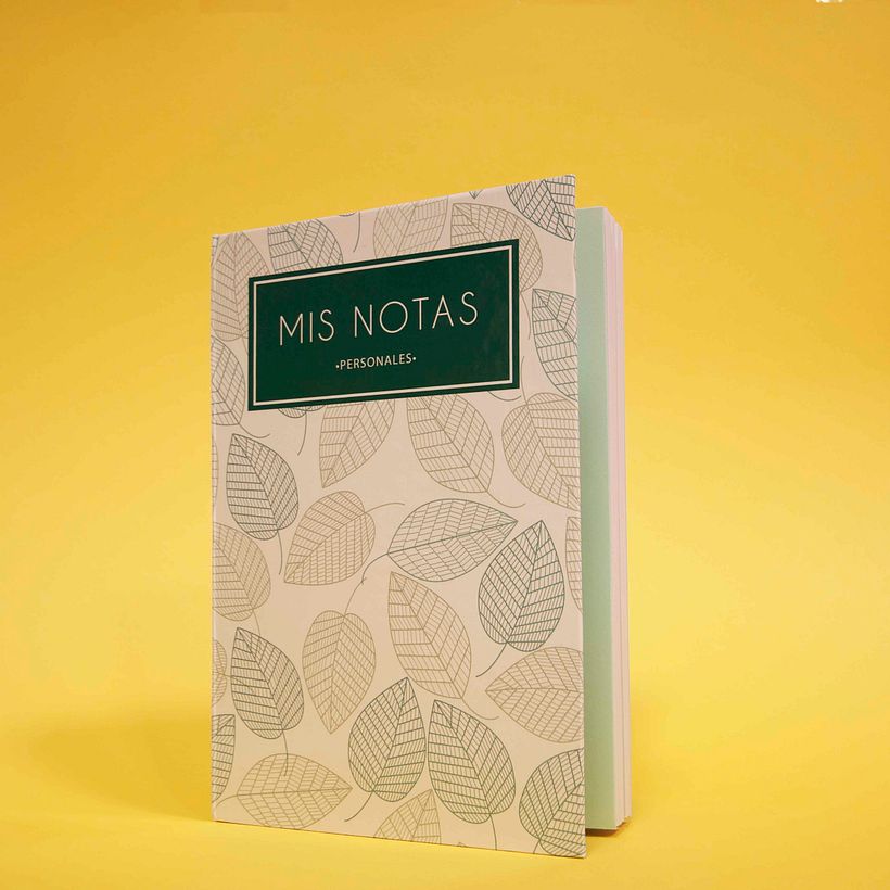 Cuadernos 1