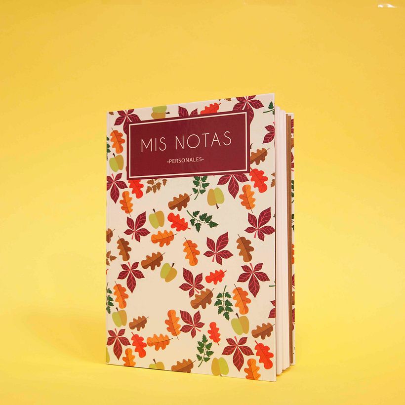 Cuadernos 2