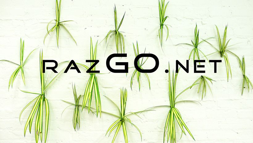 Busco socio/a con experiencia y contactos para abrir mercados web - RAZGO.NET 1