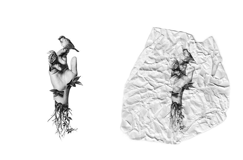 Kökler, Dinlenmeler ve Zaman -1