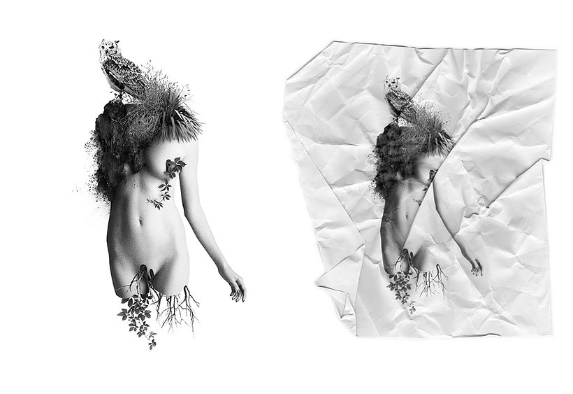 Kökler, Dinlenmeler ve Zaman 0