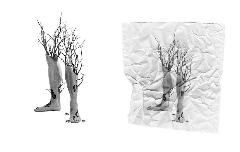 Kökler, Dinlenmeler ve Zaman 1