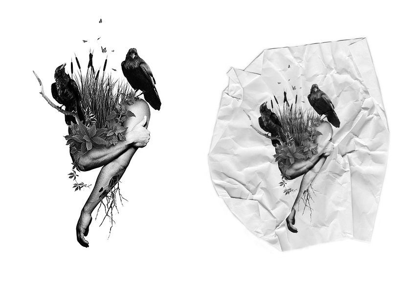 Kökler, Dinlenmeler ve Zaman 2