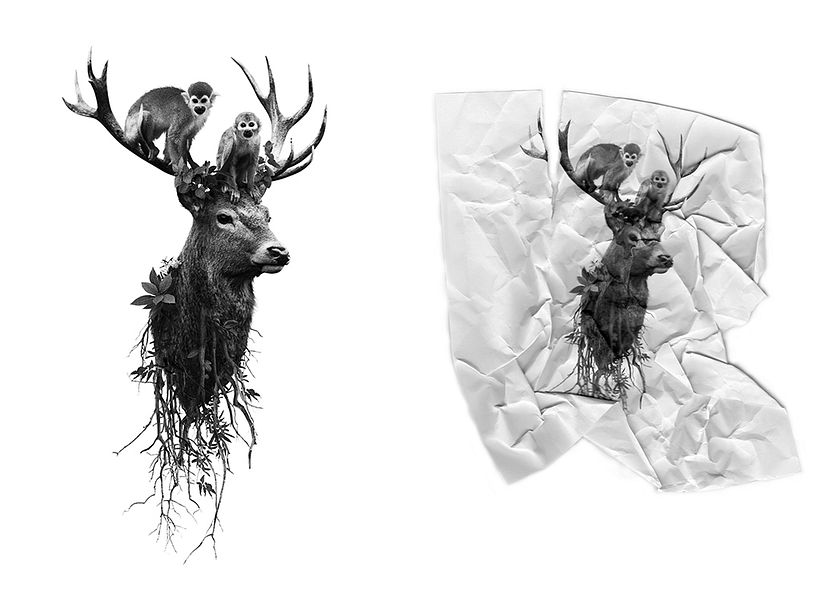 Kökler, Dinlenmeler ve Zaman 3