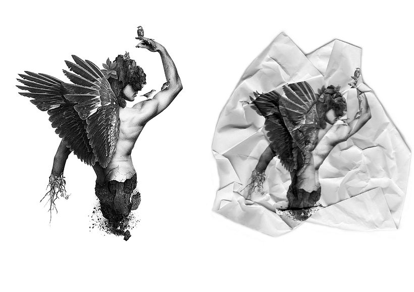 Kökler, Dinlenmeler ve Zaman 4