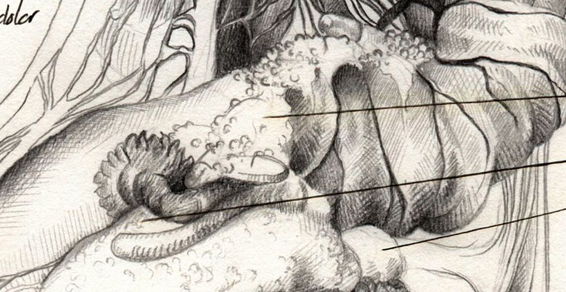 La salud es política 2