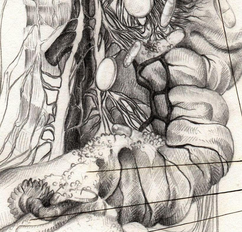 La salud es política 1