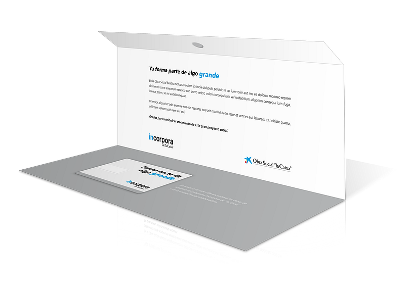 Bodegones de producto -1