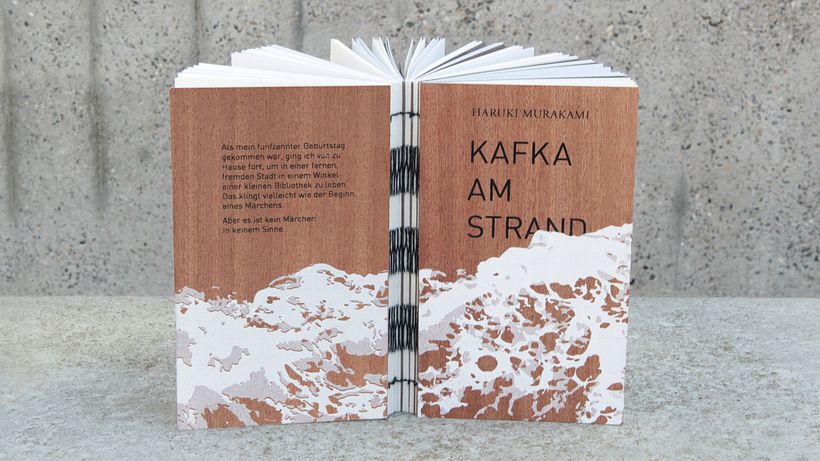 Kafka am Strand 0
