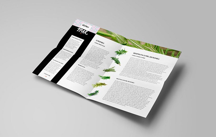 Mel de As Pontes | Branding  5