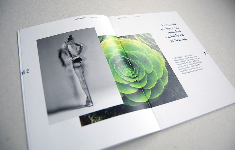 Perfección - revista temática - Dirección de arte