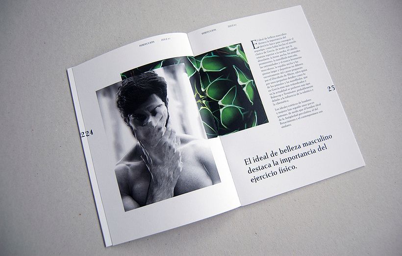 Perfección - revista temática - Dirección de arte