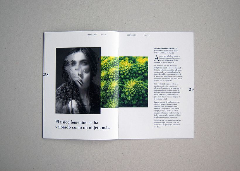 Perfección - revista temática - Dirección de arte