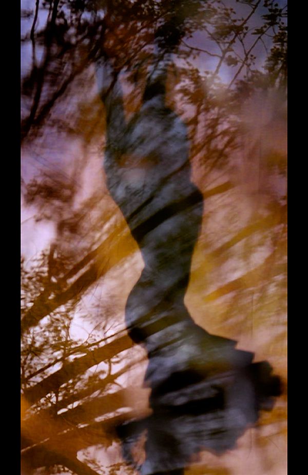 Solea en el bosque 5