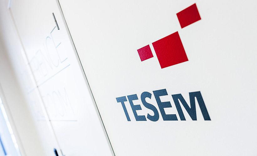 Tesem 6
