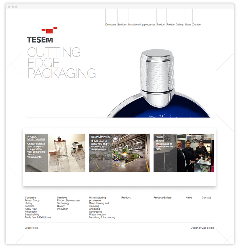 Tesem Web 1