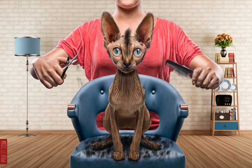 Hairless - Fotoğrafçılık