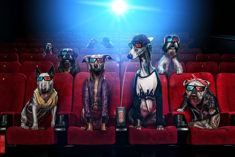 Doggy Cinema -1