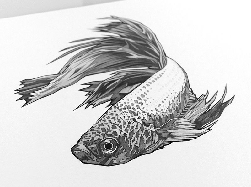 ILUSTRADORES, A LA MESA 8
