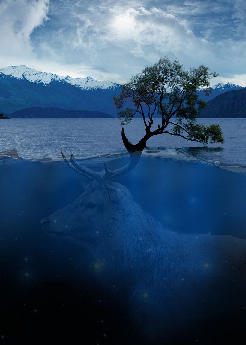 En memoria del Bosque -1