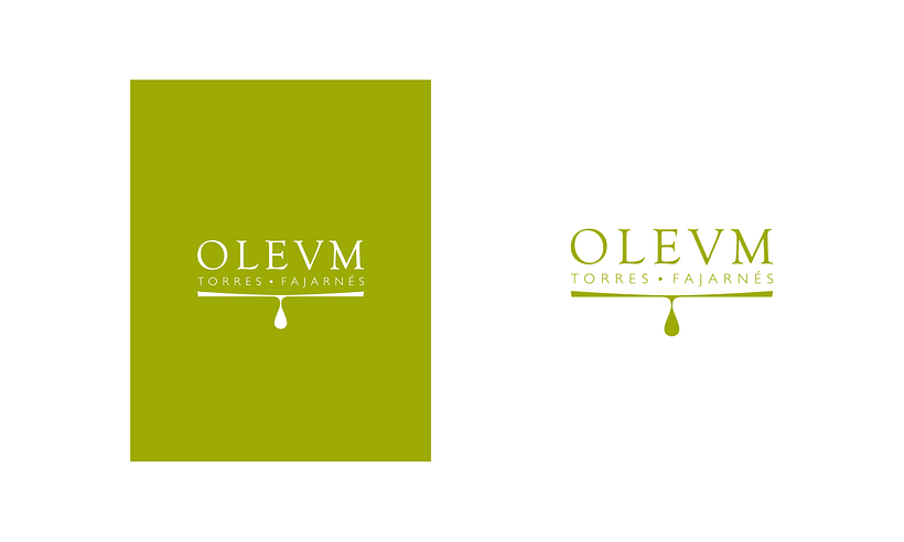 OLEVM Torres Fajarnés 1