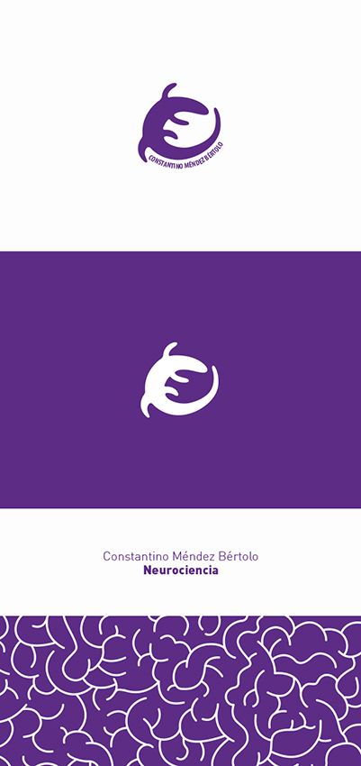 Constantino Méndez-Bértolo  NEUROCIENCIA_Identity 0