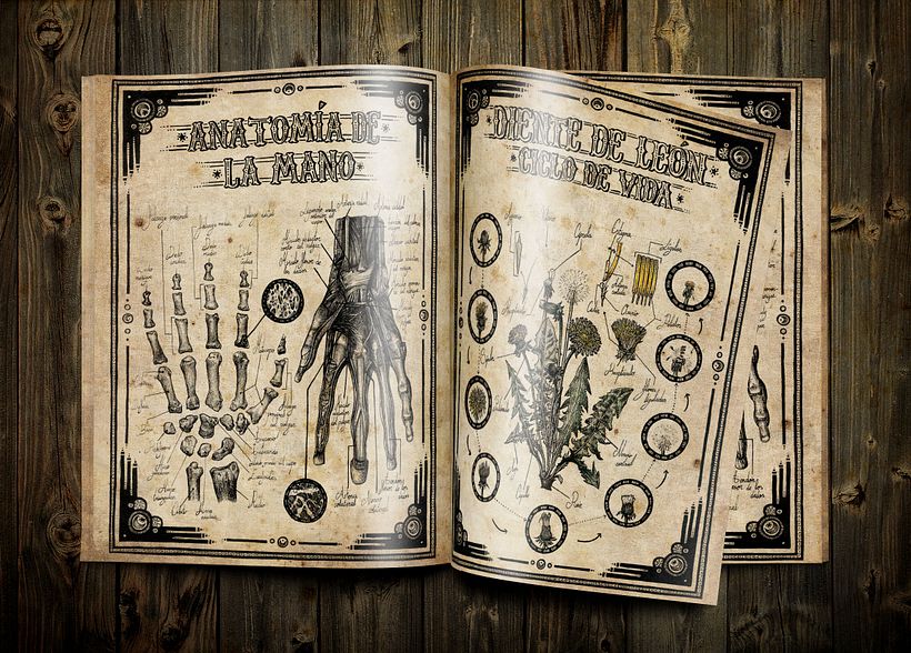 Ilustración científica 2 0