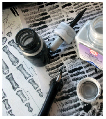 Ilustración científica 2 3