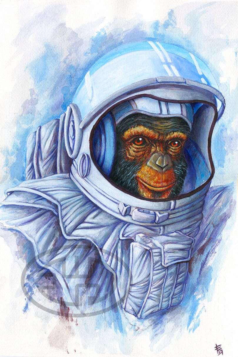 Space monkey - Ilustrație tradițională