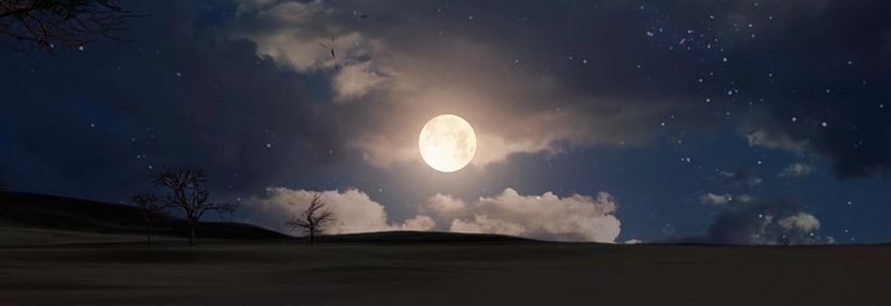 Dust Bowl III  •  Other Lives 8