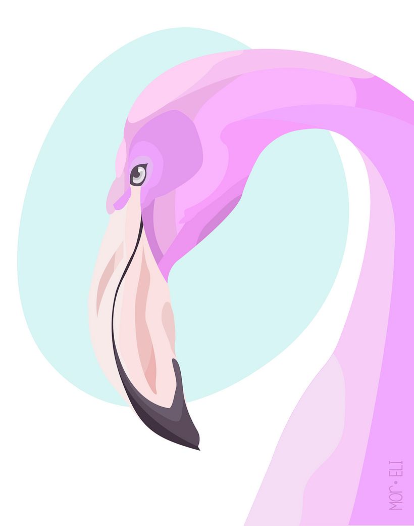 Vectorial - Ilustrație tradițională