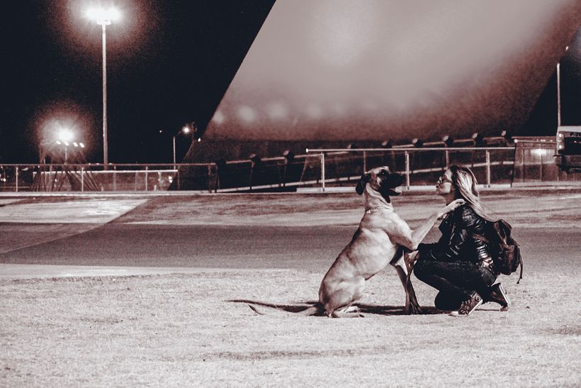 PASSION IN LIFE - Fotografie