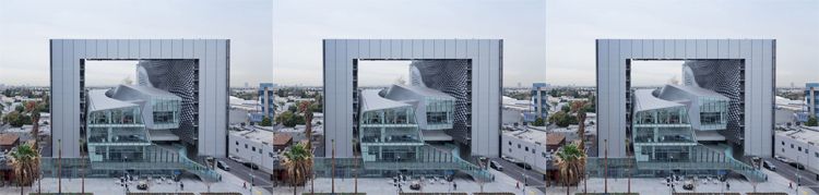 Arquitectura viviente 8