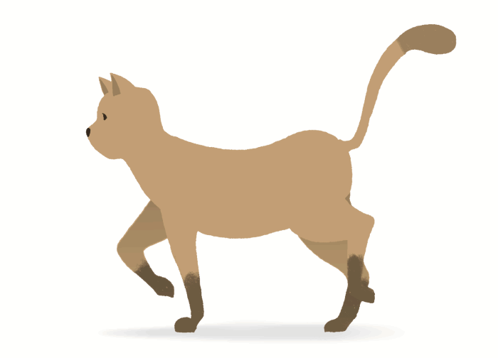 Corre! (Gifs animados) 2