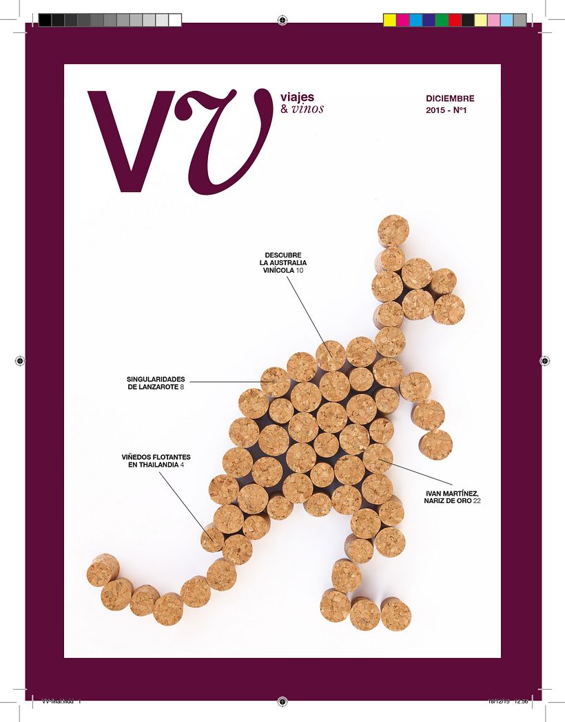 Revista vinos y viajes 0