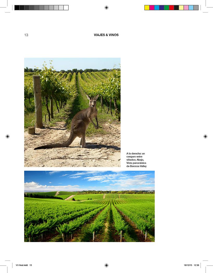 Revista vinos y viajes 4
