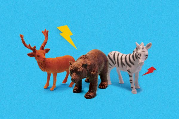 P O S T E R  E L  D O R A D O 2